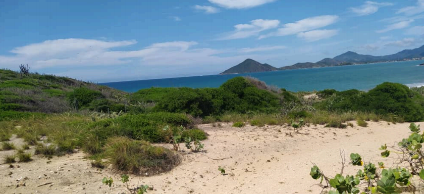 Playa Guiriguire Vista 2
